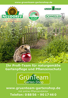 Flyer GrünTeam