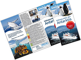Flyer Firma Polaris